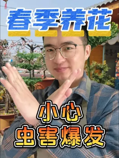 春季养花，一定小心虫害爆发！#养花 #花卉绿植 #杀虫水乳剂
