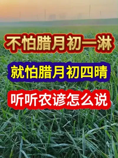 不怕腊月初一淋就怕腊月初四晴听听农谚怎么说 #农业谚语 #农谚 #农业种植 #三农 #分享农业知识帮农民增产增收