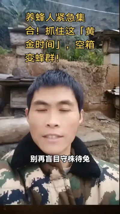 #内容启发搜索 #谌蜜 #诱蜂#养蜂技术分享 ，养蜂人紧急集合！抓住这「黄金抓蜂时期」，空箱变蜂群！