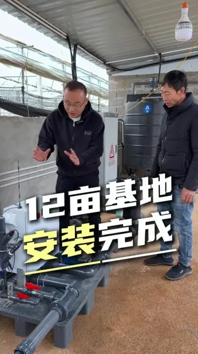 12亩蓝莓基地，水肥一体化安装完成#水肥一体化 #蓝莓种植 #设施农业 #服务三农