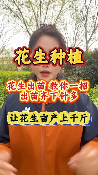 花生出苗后，一定要做这件事，让花生开花多结果多 亩产上千斤 #花生种植 #花生白绢病  #炭疽病防治 #三农#花生高产