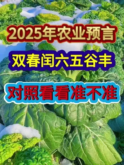 2025年农业预言双春闰六五谷丰对照看看准不准 #农业谚语 #农业种植 #传播农业小知识 #三农 #分享农业知识帮农民增产增收