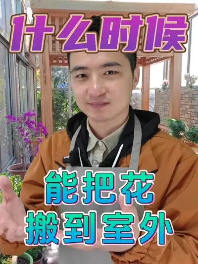 气温回暖，什么时候把花搬到室外合适呢？ #养花  #花卉绿植  #养花小知识