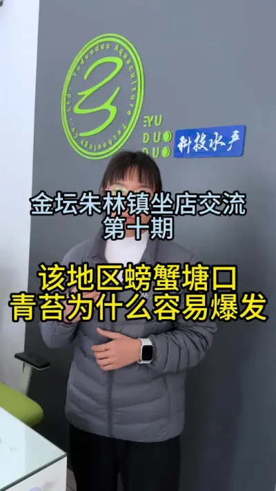 金坛朱林镇地区螃蟹塘口为什么青苔爆发严重！！！ #渔多多养殖模式 #水产养殖 #三农 #河蟹养殖 #大闸蟹养殖