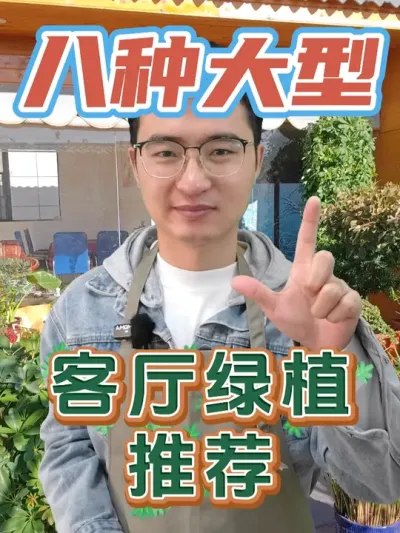 八种适合养在客厅的大型绿植！ #养花  #大型绿植  #花卉绿植