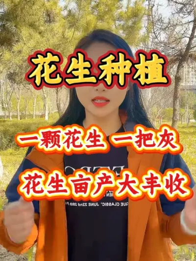 草木灰可以调节土壤酸碱度，种植花生中有一定的作用，同时搭配花生下针灵才能实现增产增收#三农种植 #抖音助农 #服务三农支持三农 #花生高产 #花生种植