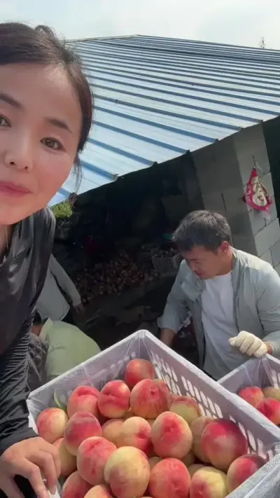 哪一行都不容易，早上五点卖桃到下午五点，下一个品种七天以后#自家果园 #农业种植