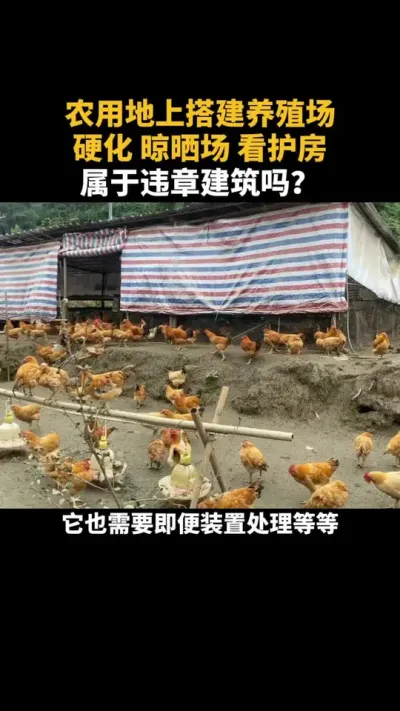 农用地上建养殖场，晾晒房，看护房属于违建吗？ #土地 #农村 #养殖 #农用地 #土地流转