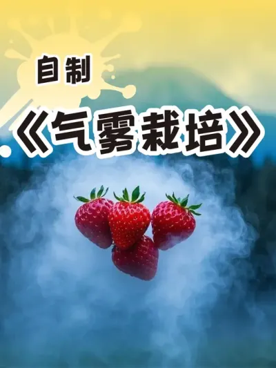 气雾栽培装置之乞丐版 原来草莓还可以这样种？#气雾栽培 😳#记录我的种植生活 #草莓 #绿色生态农业