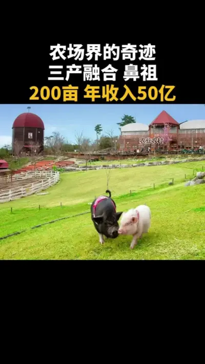 农场界的奇迹，三产融合鼻祖，200亩年收入50亿 #农场 #乡村振兴 #三产融合 #乡村产业 #运营