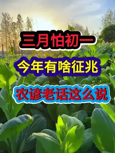 三月怕初一今年有啥征兆农谚老话这么说 #农业种植 #农业谚语 #谚语 #三农 #三农种植