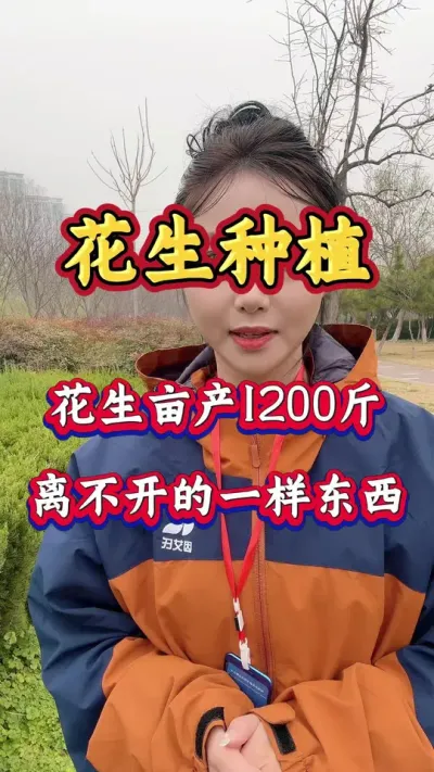 种花生这样施肥，亩产达到1200斤 #花生种植 #分享农业知识帮农民增产增收 #花生种植管理技术 #花生高产 #花生病害防治