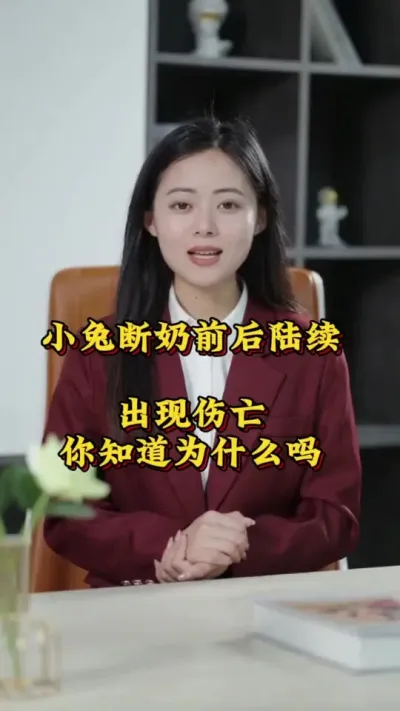 小兔断奶前后，陆续出现伤亡，你知道是为什么吗？ #养兔七分靠管理三分靠技术 #兔子 #养兔人 #肉兔养殖 #养兔子注意事项