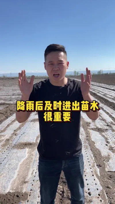 降雨后及时进出苗水很重要！ #棉花种植专家讲座 #关注我每天分享种植知识 #出苗水到底应该怎么滴呢 @抖音小助手