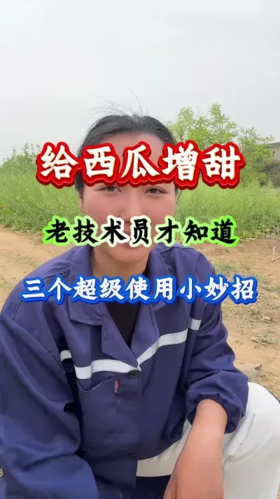 西瓜种植 给西瓜增甜老技术员才知道得三个超级使用小妙招#西瓜种植 #西瓜管理#西瓜增甜