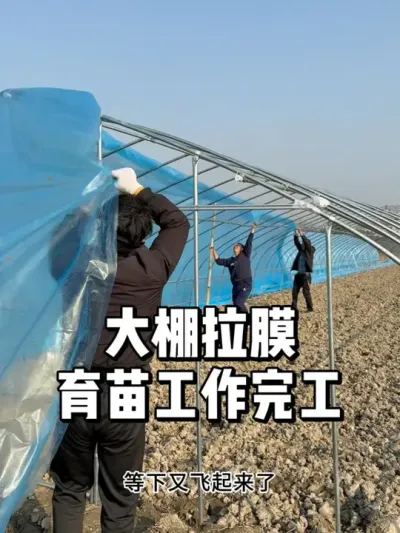新菜地大棚上膜，育苗工作也完成了！ #种菜