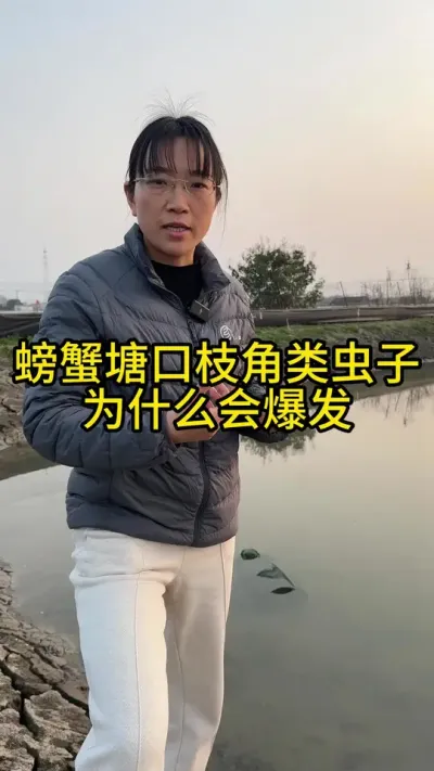 螃蟹塘口枝角类小白虫为什么会爆发！！！ #渔多多养殖模式 #水产养殖 #河蟹养殖 #三农 #抖音助农