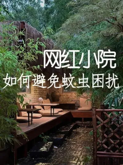 一条视频教你解决小院蚊虫困扰 #小院改造 #小院时光 #氛围感 #网红打卡地 #天雅设计