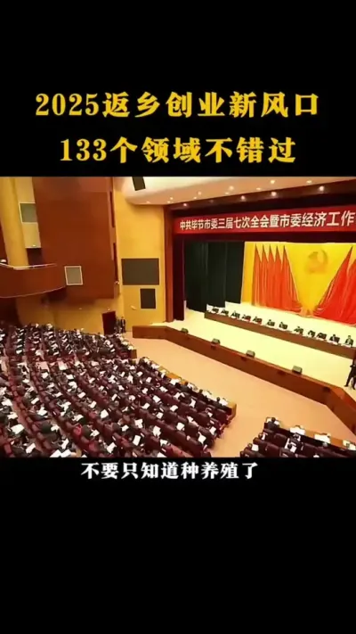 2025返乡创业新风口133个领域不错过#乡村振兴#乡村扶持#休闲农业#家庭农场