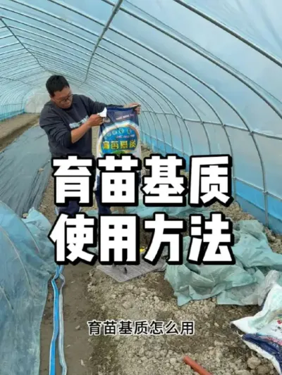 育苗时田园土和育苗基质哪个更好 #农业种植 #种植 #三农 #种菜