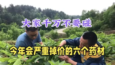 2025年六个中药材会大幅度贬值，就算说得天花乱坠，也不要碰 #避坑指南 #药材种植 #三农