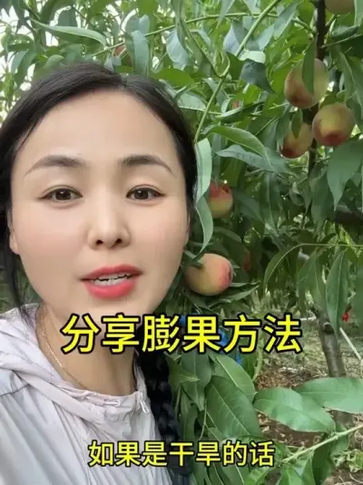 膨果上色增添 膨果上色增甜，成熟前半个月一亩地一包就可以#分享农业知识帮农民增产增收