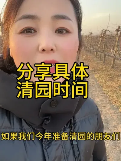 桃树春季清园 #农业植保知识分享 #分享农业知识帮农民增产增收 #自家果园 #农业种植
