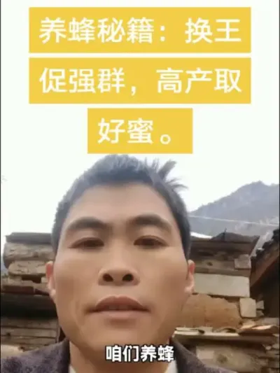 #谌蜜 #养蜂技术 #养蜂技术分享 #内容启发搜索 ，养蜂把蜂群养强是关键，其中换王和解除分蜂热是重中之重。@抖音小助手 @DOU+小助手
