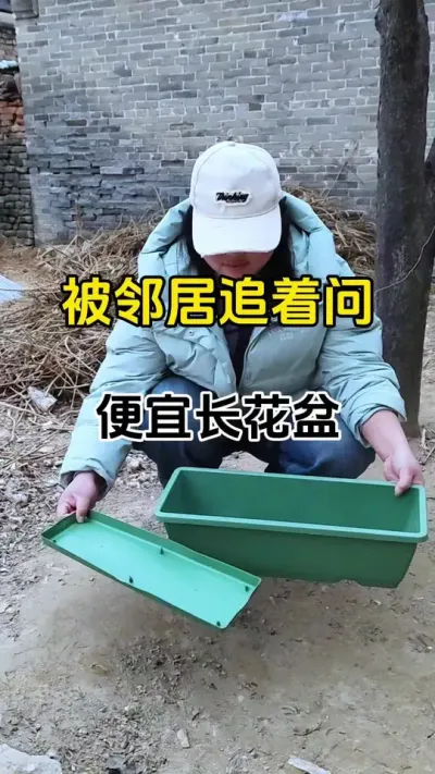家庭园艺神器，又便宜又实用#花盆 #花盆推荐 #农业种植 #番茄种植