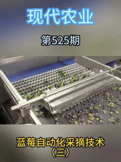 蓝莓自动化采摘技术（三） #科技农业创新农业 #农业科技 #智慧农业 #蓝莓#农业