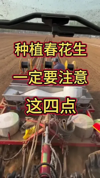 种植花生