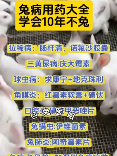 养兔用💊大全，学会不求人，全程不扔兔#养兔人 #兔子养殖 #养兔 #养兔专业户