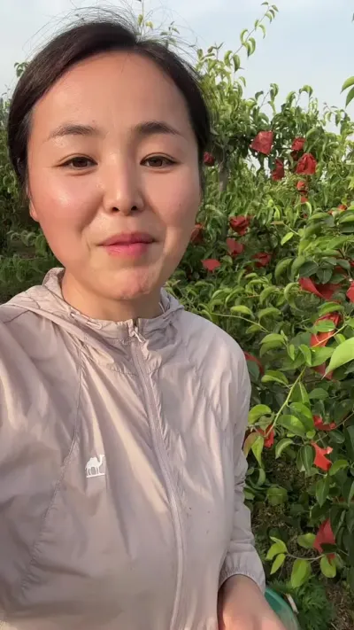 梨树套袋 #分享农业植保技术知识传播正能量 #分享农业知识帮农民增产增收 #农业种植