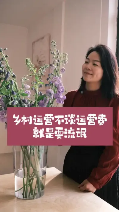 乡村运营不谈运营费基本就是耍流氓[偷笑][偷笑][偷笑]#乡村振兴 #余粮乡创 #乡村运营