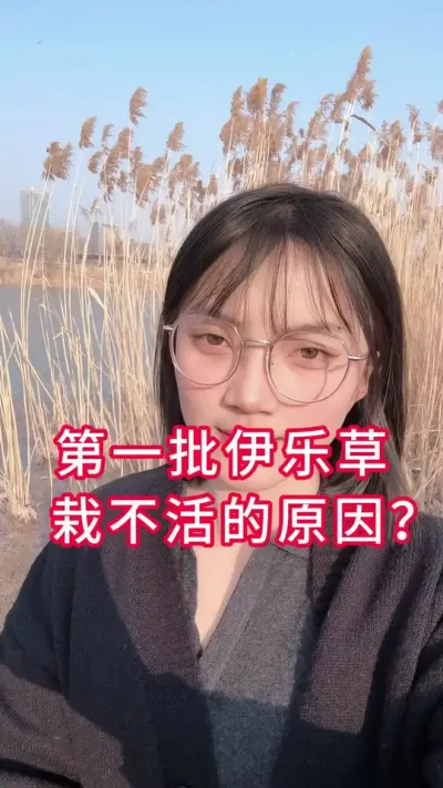 #大闸蟹养殖 #螃蟹养殖 #河蟹养殖 #水产养殖 你家的第一批#伊乐藻 是不是总是栽不活，反复补种