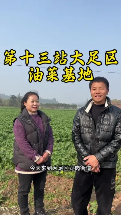 今天来到大足区油菜基地，这里环境优美，我的基地呢也在这里。#大足 #返乡创业新农人