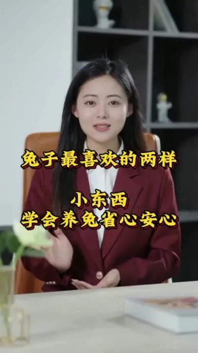 兔子最喜欢的两样东西，学会养兔安全又省心#兔子 #养兔人 #肉兔养殖 #养兔技术 #养兔子注意事项
