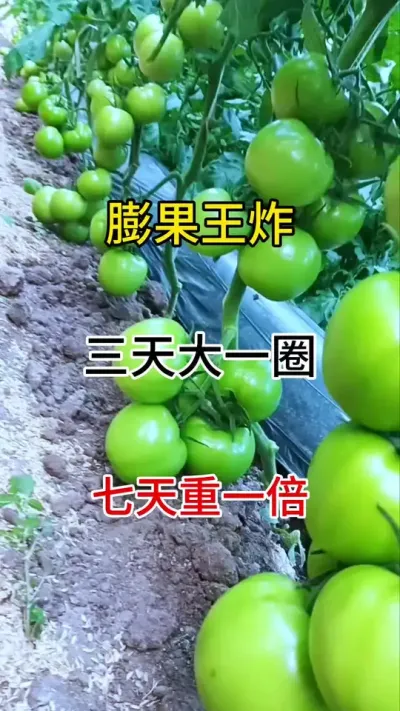 果子小膨果慢，不用愁，一招教你搞定，防空果裂果畸形果，草莓，番茄，辣椒等，果树开花结果类都适用#三农种植 #膨果增甜 #膨大果实