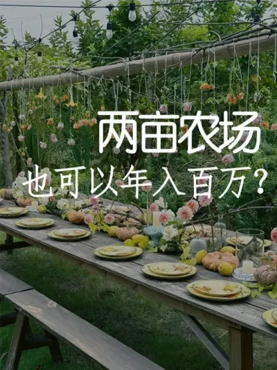 仅仅两亩地是怎么做到年入百万的？ #小院改造 #小院时光 #氛围感 #网红打卡地 #天雅设计