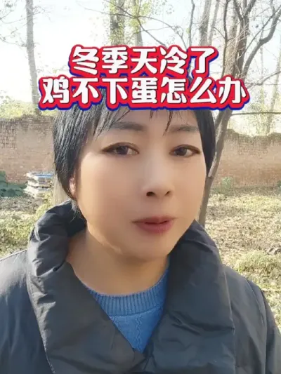 冬天天冷鸡不下蛋怎么办，教你一个实用的方法#科学养鸡 #养鸡技术 #蛋鸡养殖 #冬天鸡不下蛋#每天分享养鸡知识