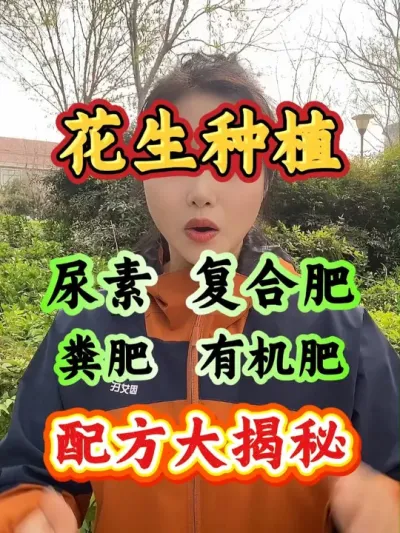 种花生，尿素，复合肥，粪肥，有机肥，开花结果率更高 #花生种植 #花生高产 #花生管理