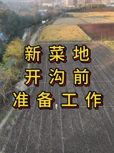 新菜地开荒第8集，开沟前准备工作 #农业种植 #种菜 #三农