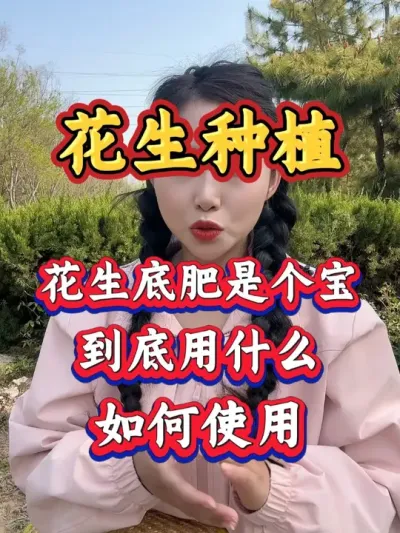 花生底肥都是个宝，怎么使用才能让花生长势，亩产千斤#三农  #新农人 #花生高产 #花生种植 #花生施肥