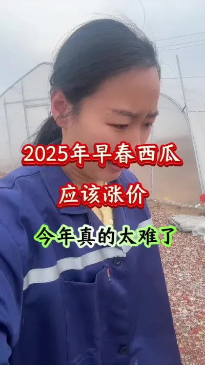 西瓜种植 2025年早春应该涨价 #西瓜种植 #西瓜管理 #种西瓜