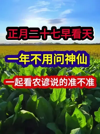 正月二十七早看天一年不用问神仙一起看农谚说的准不准 #农业谚语 #农业种植 #三农 #三农种植 #农业谚语看看准不准