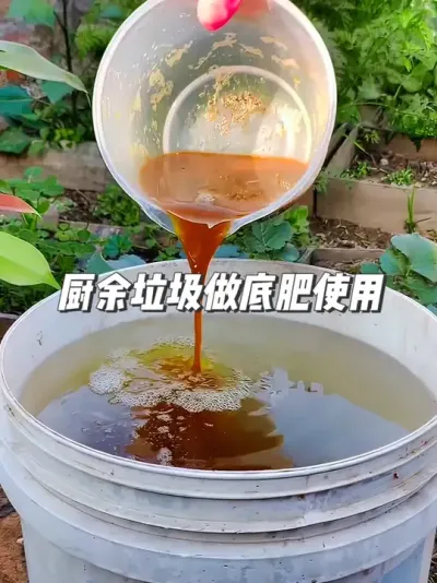 省下买肥钱！厨余垃圾这样发酵，2个月后菜园肥到流油 #种植小技巧 #自制肥水 #有机肥 #100个春日生活心愿