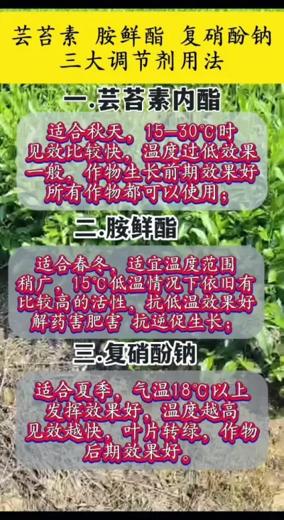 #三大调节剂区别#茶树种植技术指导 #茶树调节剂使用方法