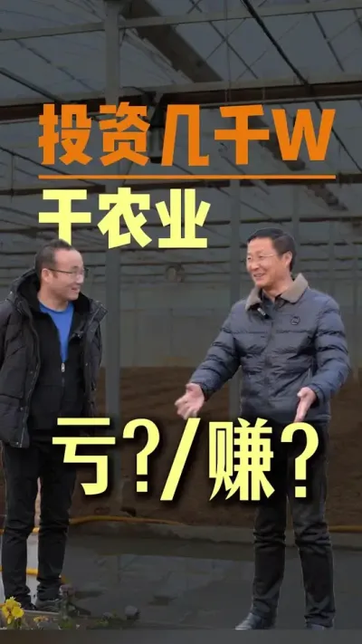 工程老板投资几千个W来干农业，究竟是亏还是赚？ #农业种植 #抖音助农 #水肥一体化 #服务三农支持三农