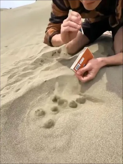 不可思议的户外发现#不可思议 #户外 #看世界 #有趣 #发现