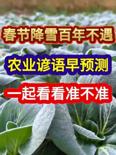 春节降雪百年不遇农业谚语早预测一起看看准不准 #农业谚语 #三农种植 #民间谚语节气 #农业谚语 #助力三农